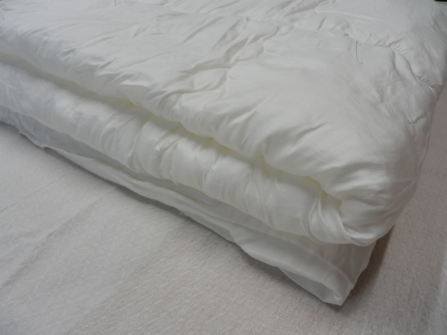 イノベーション綿 写真3